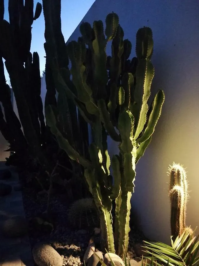 Casa Euphorbia Villa Las Negras 0*,