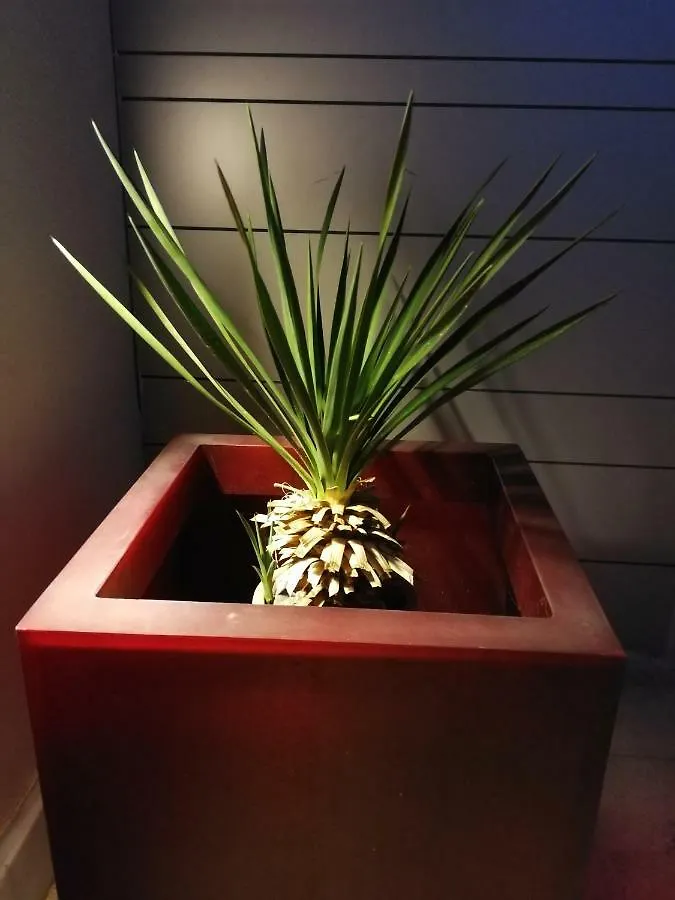 Casa Euphorbia Vila Las Negras 0*,  Espanha